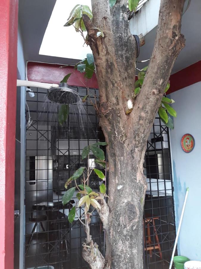 Pousada Porto Jambo Porto de Galinhas Ngoại thất bức ảnh