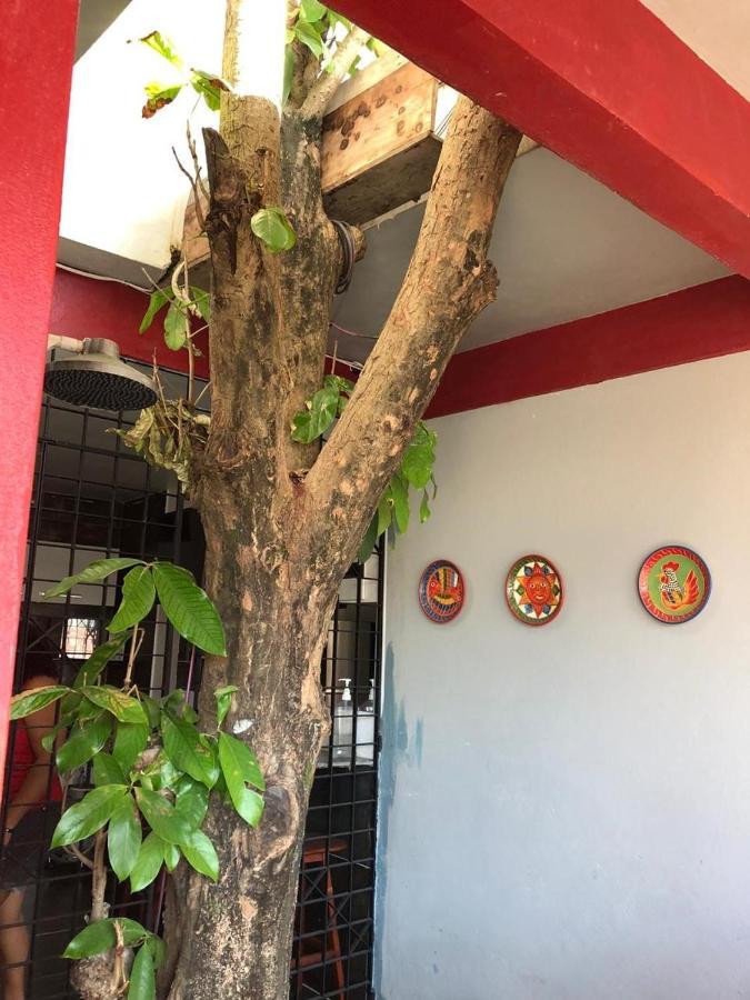 Pousada Porto Jambo Porto de Galinhas Ngoại thất bức ảnh