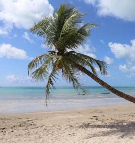 Pousada Porto Jambo Porto de Galinhas Ngoại thất bức ảnh